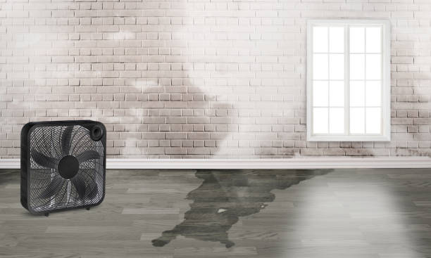 Best Fire Damage Restoration  in Half Moon, NC
