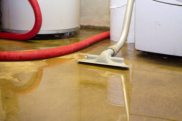 Best Basement water damage restoration  in Half Moon, NC