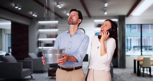 Best Water damage contractors near me  in Half Moon, NC