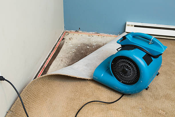Best Water damage restoration cost  in Half Moon, NC